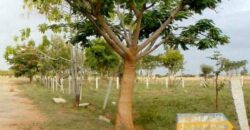BIAPPA Site near International Airport Road