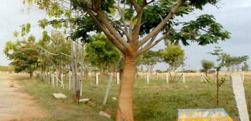 BIAPPA Site near International Airport Road